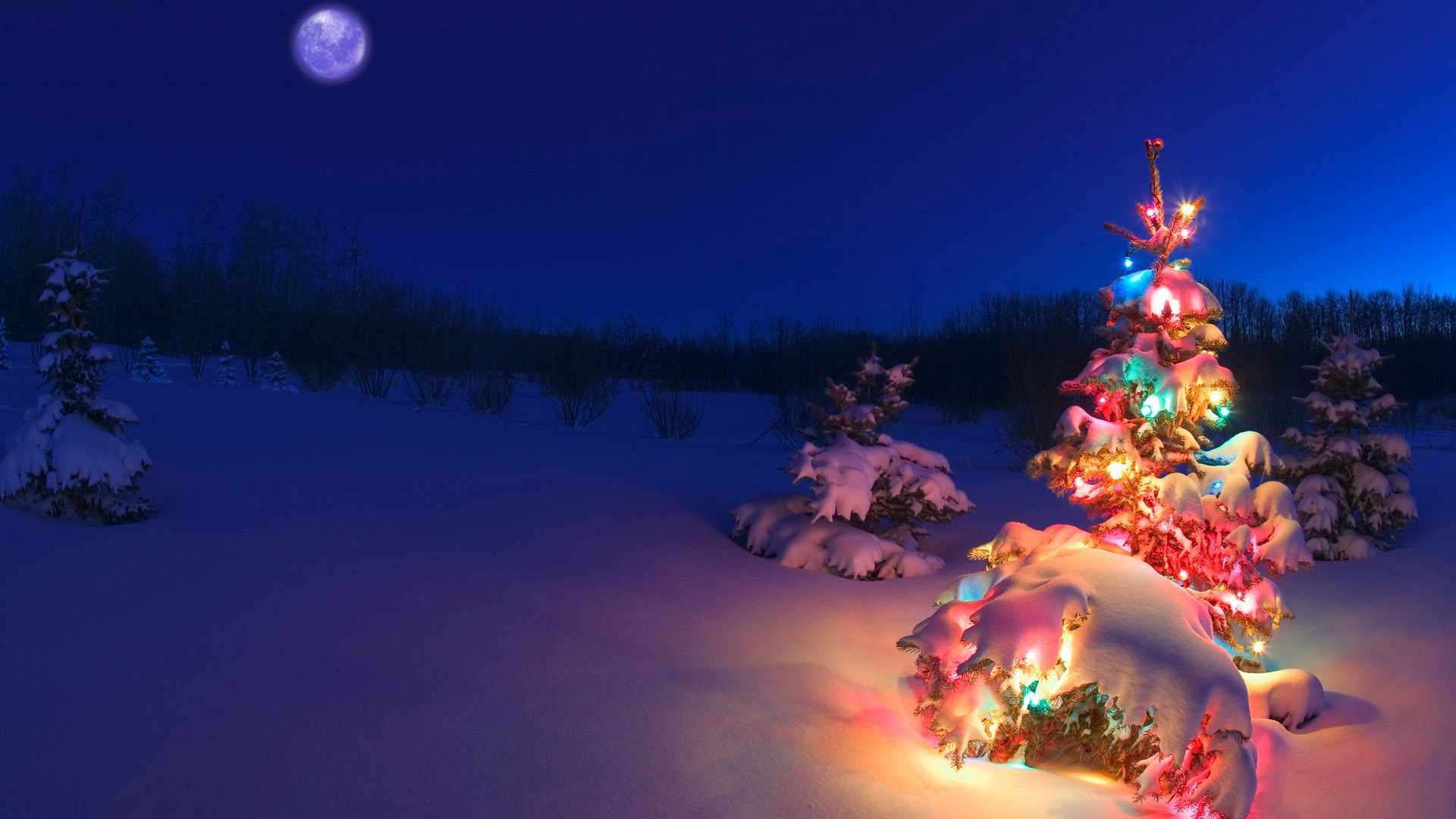 圣诞节图片_圣诞树壁纸下载_雪地高清大图_森林高清图片壁纸
