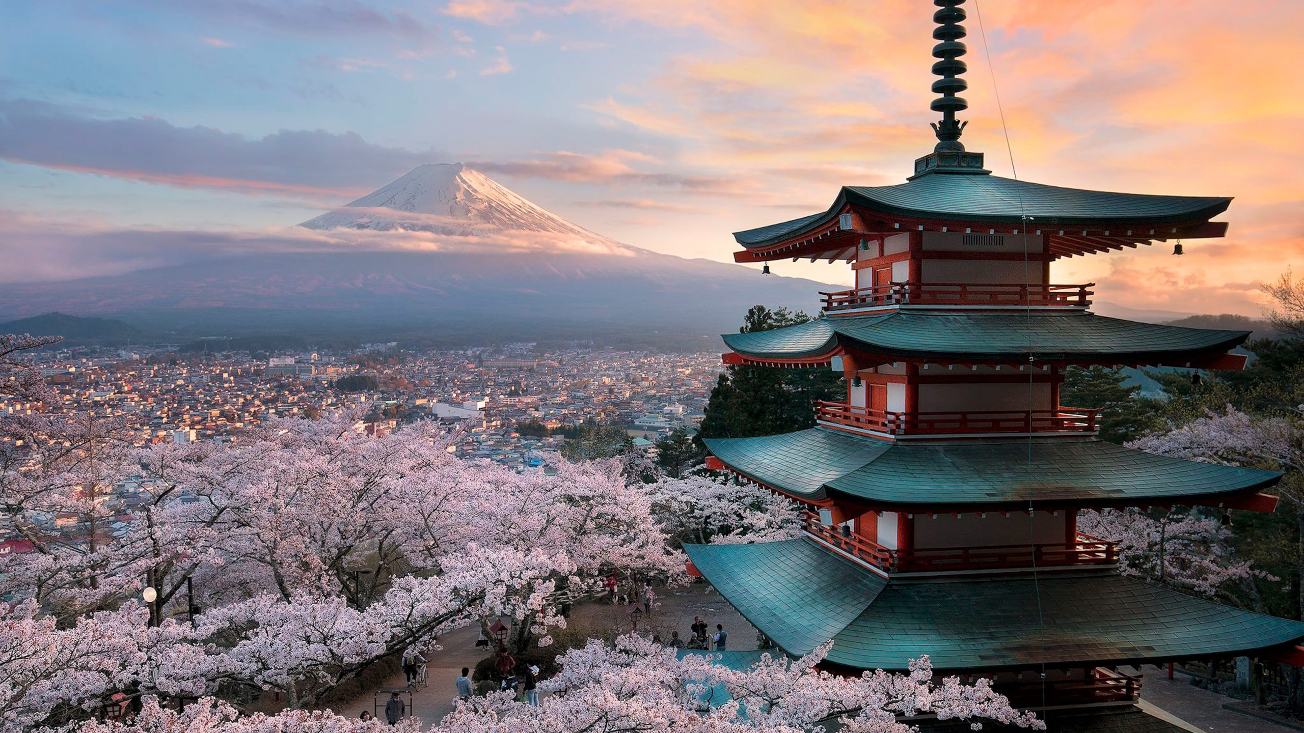 樱花图片_富士山壁纸下载_塔高清大图_名胜高清图片壁纸