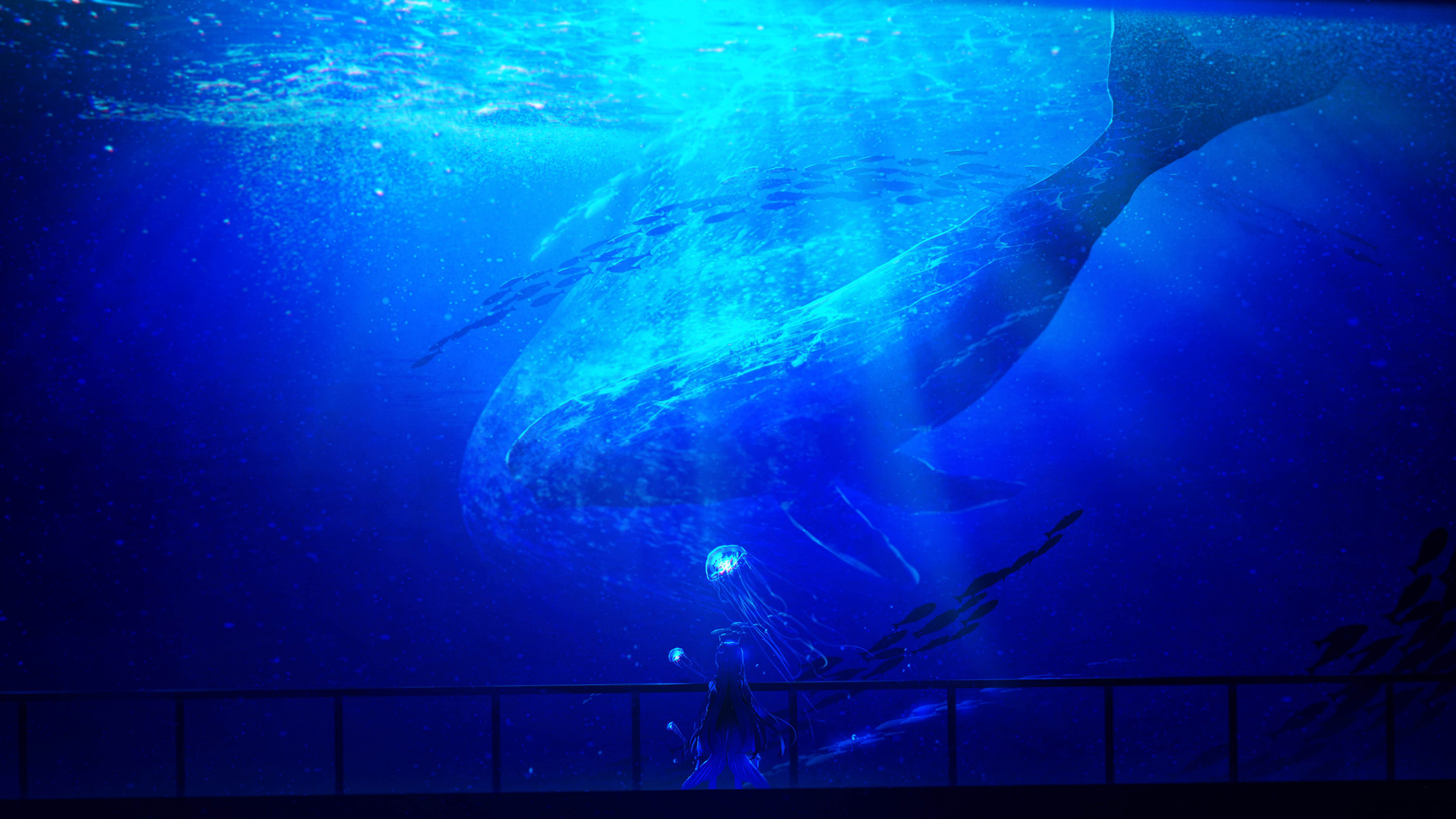 深海图片 鲸鱼壁纸下载 阳光高清大图 神秘高清图片壁纸 我爱图片网