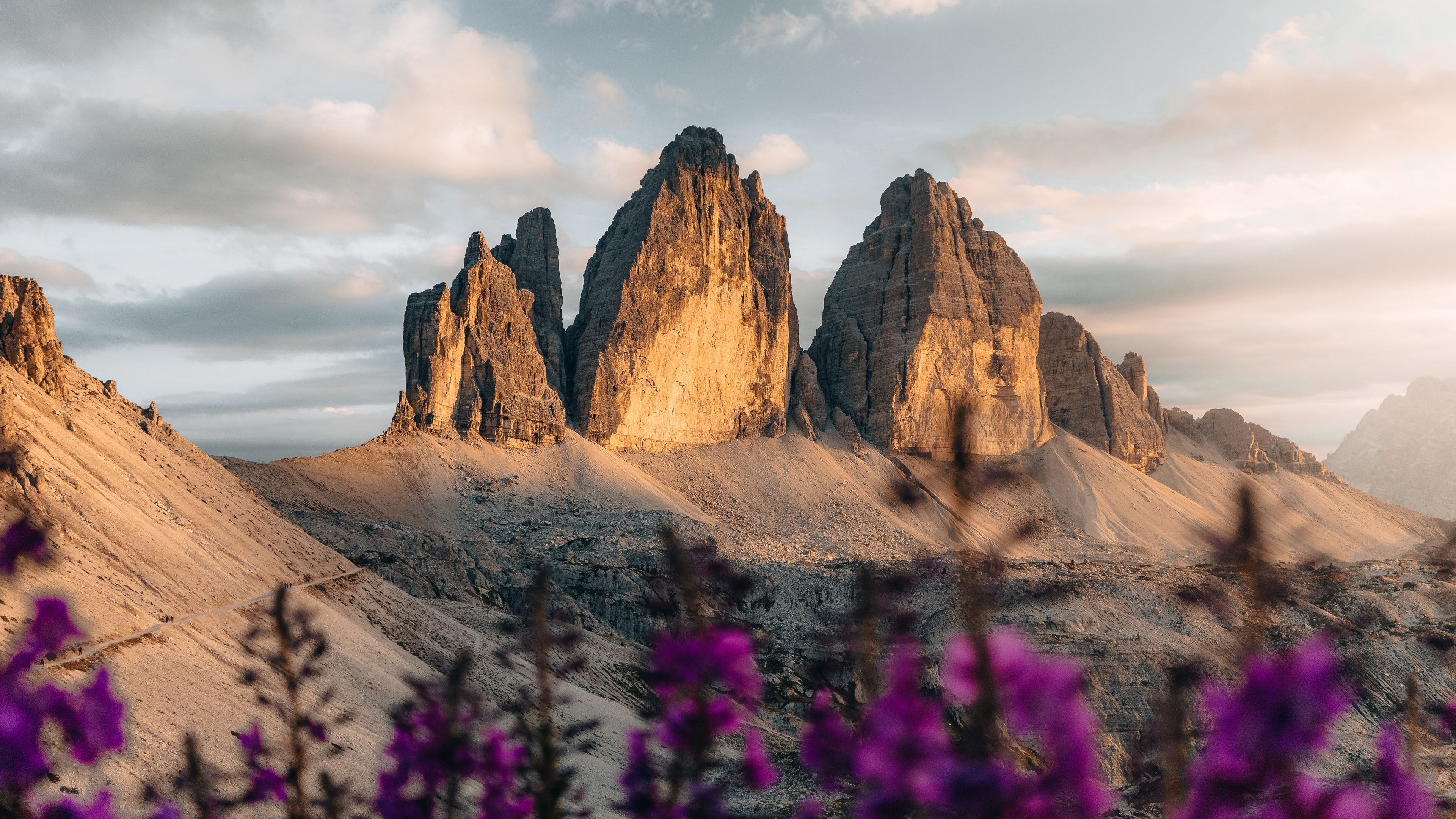 自然风光图片 山丘壁纸下载 花丛高清大图 奇特高清图片壁纸 我爱图片网